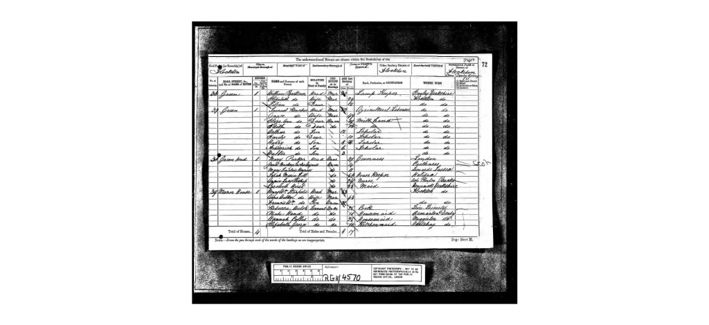 1881 UK Census Ancestry.com showing Janet and Mary Wemyss living on the Flockton estate with their Aunt Annie.