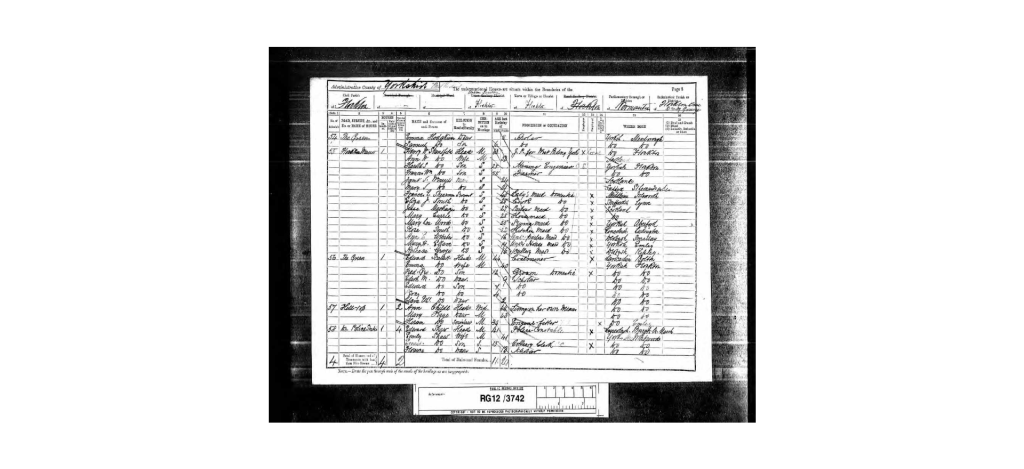 1891 UK Census showing Janet and Mary Wemyss living in the home with their Aunt Annie and family.
